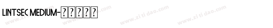 Lintsec Medium字体转换